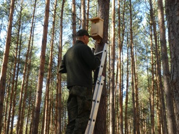 Czas na przeglądy budek lęgowych, W. Pogorzelska